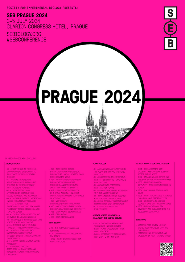 Prague poster image v1.png