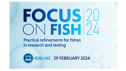 Focus on Fish 2024.png