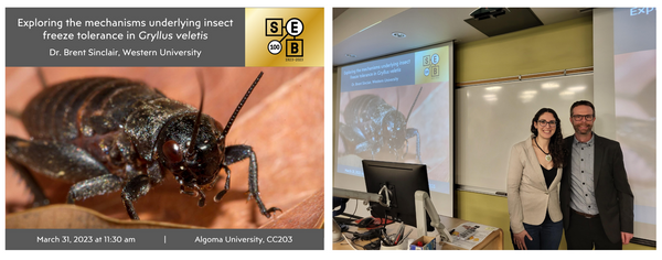 Pictures of the Canada's event including the opening slide of Dr Brent Sinclair talk with an image of a Gryllus veletis and a photo of the event organiser and the speaker close to the opening slide.