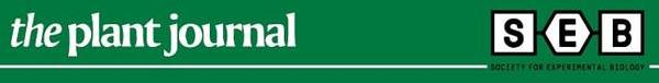 TPJ banner.jpeg