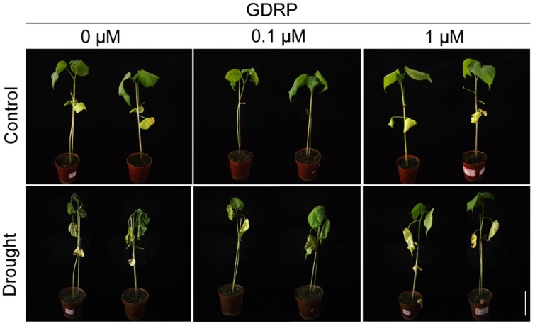 March 2026 TPJ Editor choice.jpg