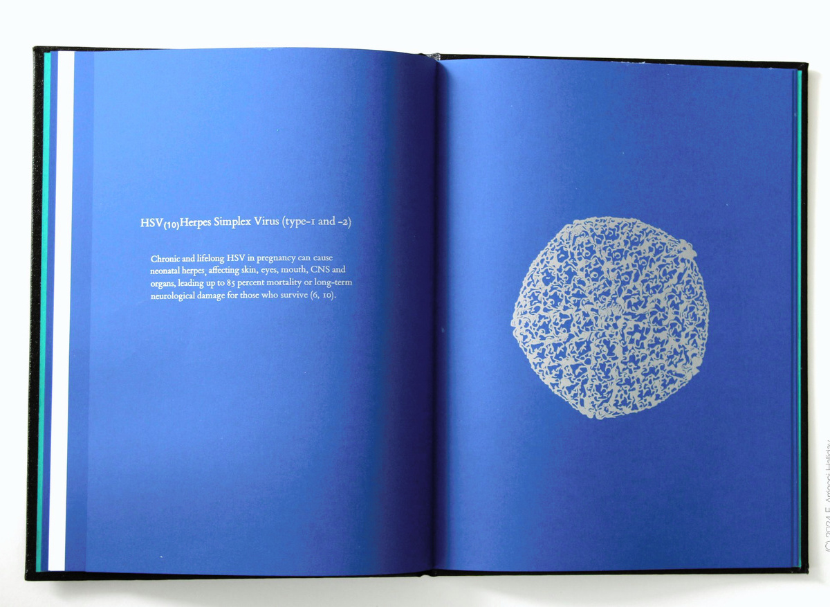 Blue Pages 13