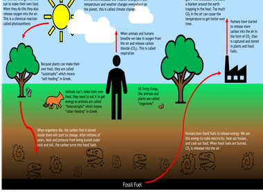 carbon cycle - small.png