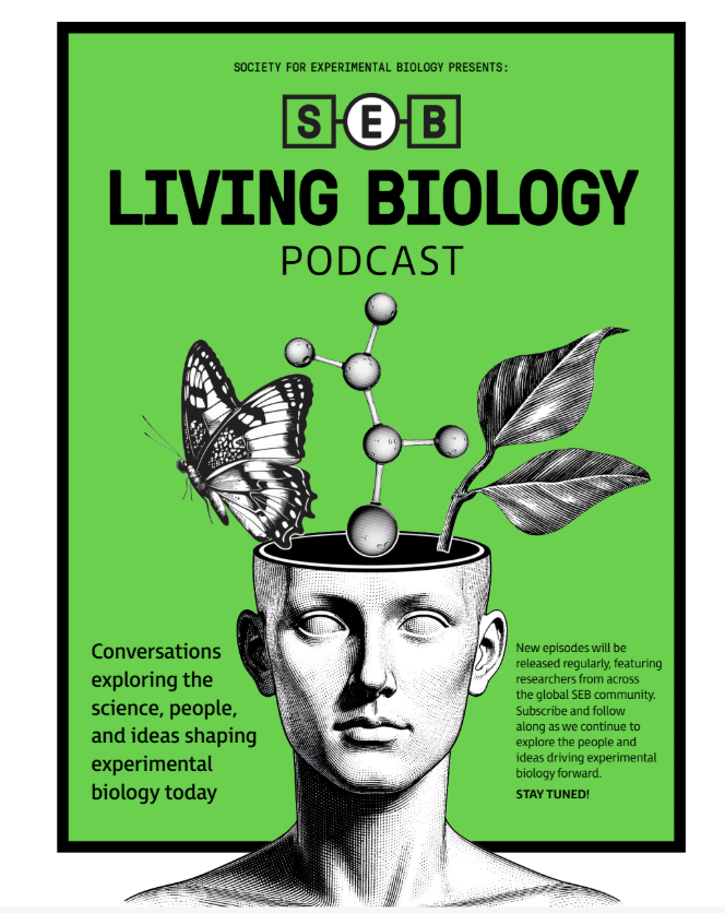 SEB podcast poster.png