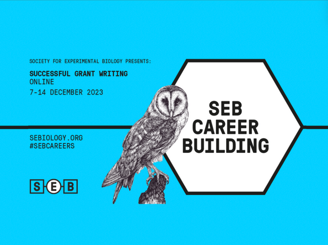 sucessfull grant writing events page.png