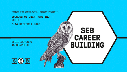 sucessfull grant writing events page.png