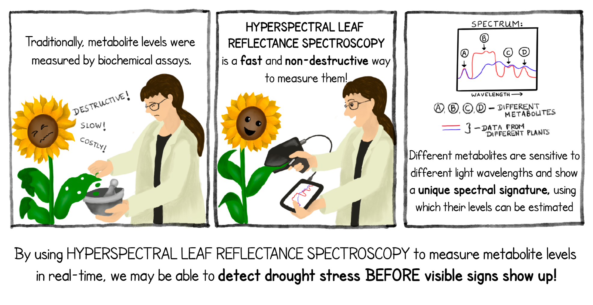 seeing drought affected plants in a whole new light 2.png