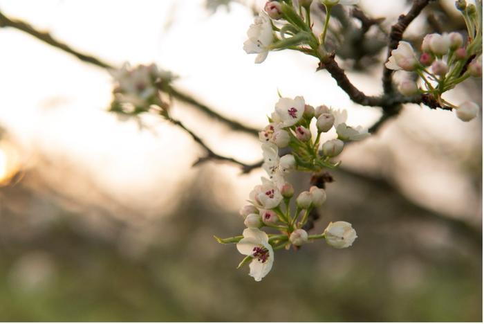 Did You Spot the Signs of Spring? 1.jpg