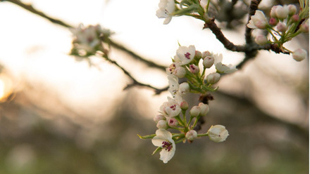 Did You Spot the Signs of Spring? 1.jpg