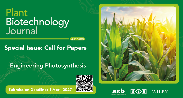 PBJ Photosynthesis.png