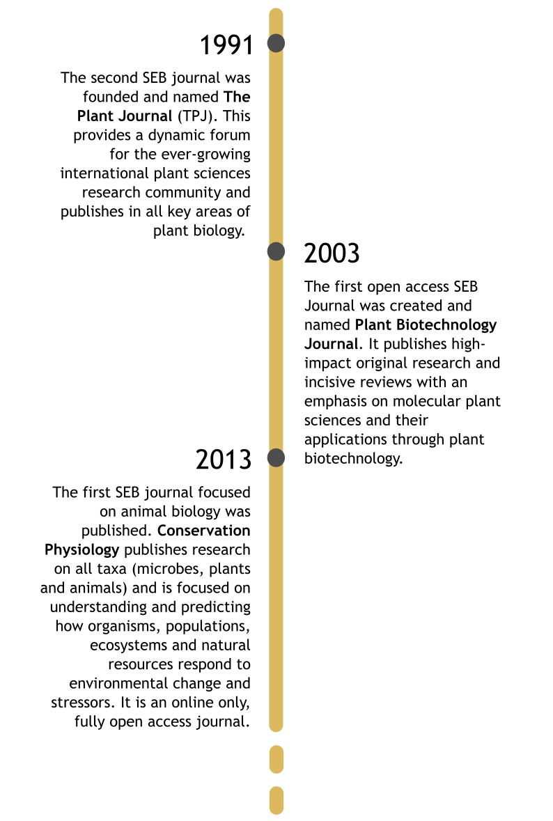 timeline-5-dots-ok.png