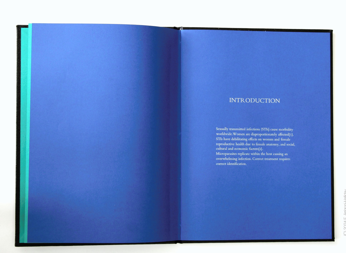 Introduction 