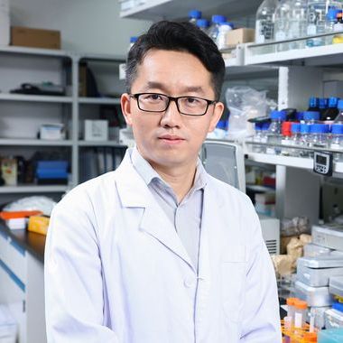 Dr. Jun Xiao