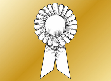 award-rosette-solid-overview_page.jpg
