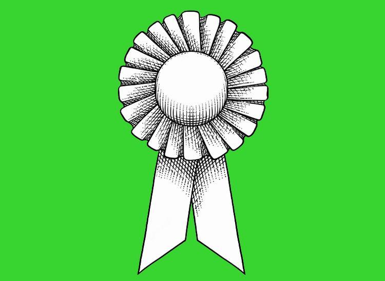 President medal green 2026 .jpg