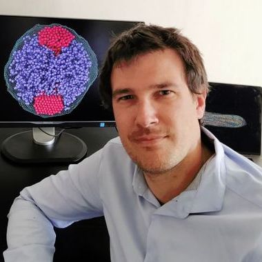 Dr. Daniel Jost