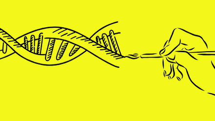 2025.06.10-IMAGE-Banner_artist_drawing_DNA_yellow2.png