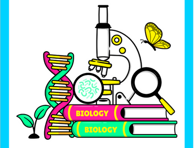 Seb Book 2024 SEB activity book | The Society for Experimental Biology (SEB)