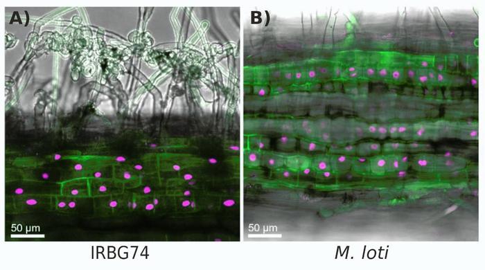 February 2026 TPJ Editor choice.jpg