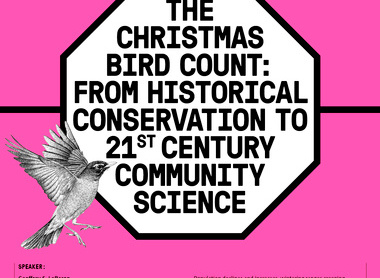 The Christmas Bird Count.jpg
