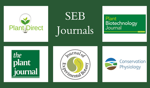 SEB Journals logo.png 1