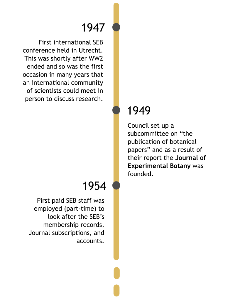 timeline-3-dots-ok.png 1