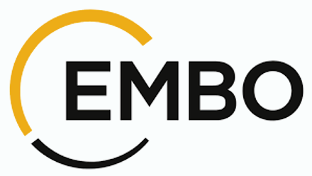 embo workshop sumoylation.png