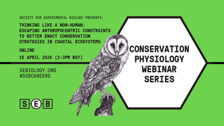 Thinking like a non-human: Escaping anthropocentric constraints to better enact conservation strategies in coastal ecosystems