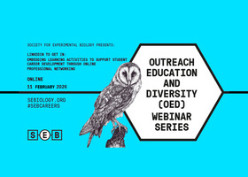 SEB_OED_WEBINAR  Linkedin copy.jpg