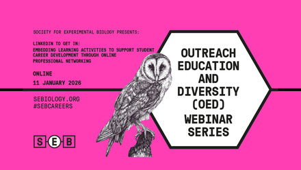 SEB_OED_WEBINAR  Linkedin copy.jpg