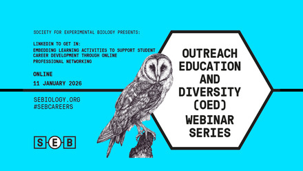 SEB_OED_WEBINAR  Linkedin copy.jpg