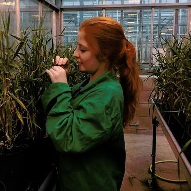 2022 YSAS Winner - Plant Section: Trisha McAllister