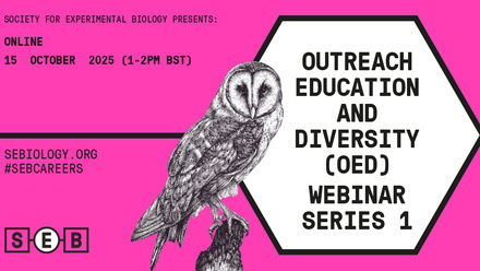 Outreach Education and Diversity (OED) webinar series 1.jpg