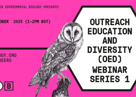 Outreach Education and Diversity (OED) webinar series 1.jpg