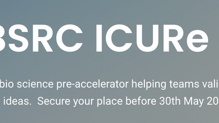 BBSRC ICURe logo.png