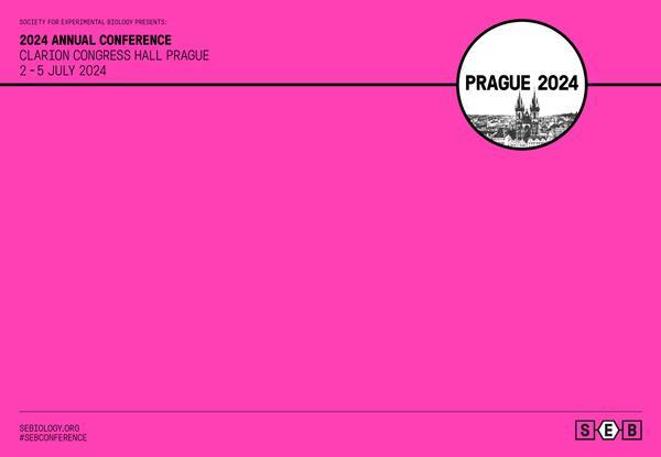 SEB_ANNUAL_CONF_PRAGUE-PP_PINK-powerpoint.jpg