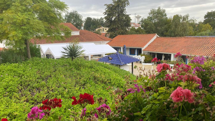 courtyard.jpg