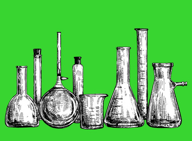 Education green 2026 .jpg