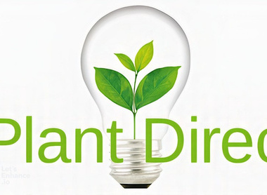plant direct logo.jpg