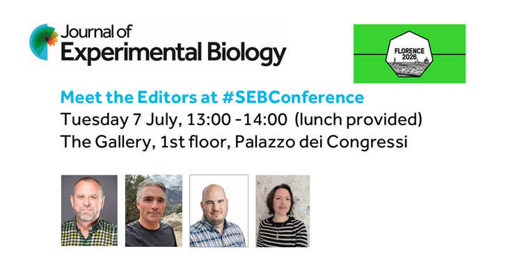 Meet-the-Editors_SEB2026_socials.png