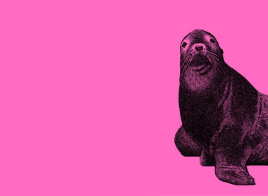 seal pink.png