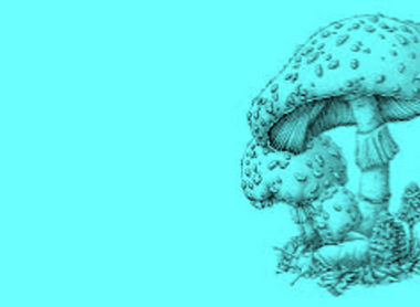 mushroom blue.png