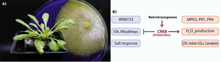 January 2026 TPJ Editor choice.jpg