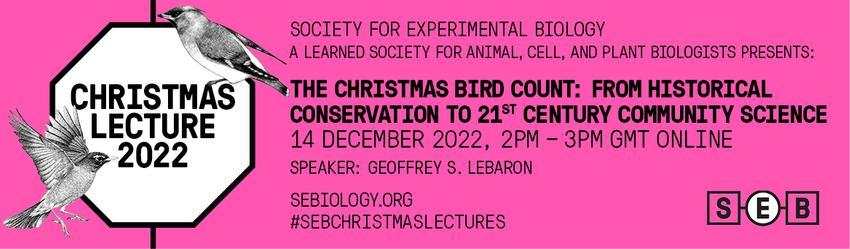 The Christmas Bird Count-banner.jpg 1