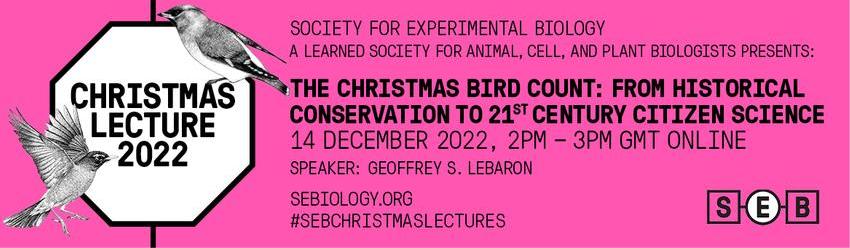 The Christmas Bird Count-banner.jpg