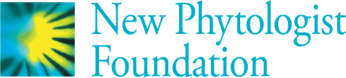 New Phytologist - Foundation Logo (Turquoise).png
