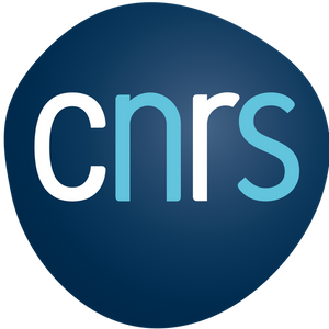 CNRS logo.png