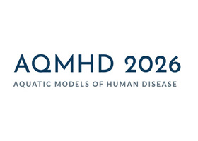 AQMHD 2026.jpg
