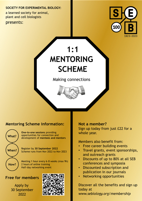 A poster designed to be shared with colleagues to spread the word about the mentoring scheme with key information about the initiative. 