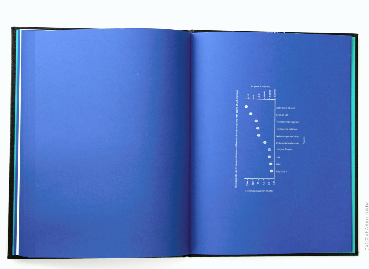 Blue Pages 16